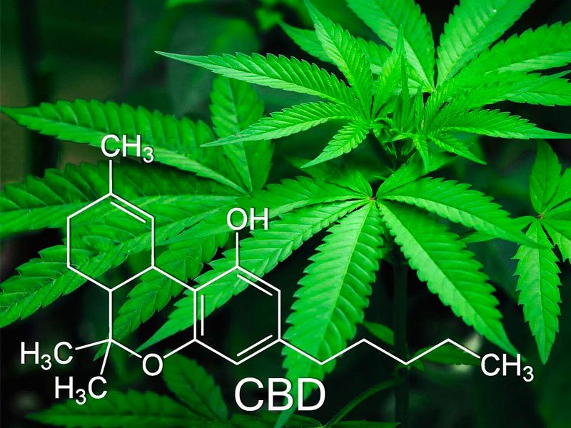 Read more about the article Diferença THC e CBD